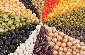 Grains Pulses